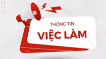 Cục Đối ngoại, Bộ Công an tuyển dụng lao động hợp đồng