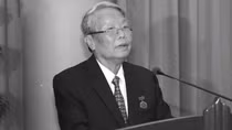 Nguyên Chủ tịch nước Trần Đức Lương từ trần