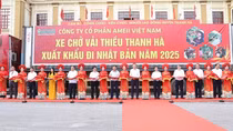 Hải Dương khai hội mùa vải: Lô vải thiều đầu tiên xuất sang Úc, Nhật Bản