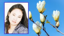 Phạm Hồ Thu: Giữa trữ tình truyền thống và thơ tự do