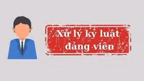 Bộ Chính trị, Ban Bí thư thi hành kỷ luật đảng viên vi phạm
