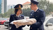 Chủ động bứt phá, sẵn sàng xây dựng Hải quan số