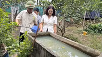 Sốt xuất huyết gia tăng, Bộ Y tế yêu cầu tăng cường phòng chống