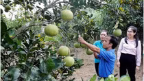 Vốn tín dụng chính sách xã hội góp phần giảm nghèo, thoát bẫy “tín dụng đen”