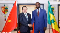 Việt Nam sẵn sàng phối hợp phát triển nông nghiệp với Senegal