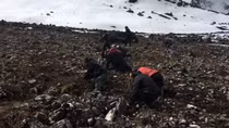 Tìm “sâu vàng” trên đỉnh Gangkhar Puensum, Bhutan