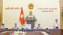 Đề nghị bổ sung hành vi phạm tội công nghệ cao mới nổi trong Luật Chuyển đổi số