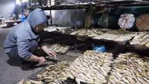 Làng nghề nướng cá biển bằng than hoa đỏ lửa phục vụ Tết