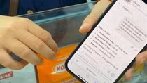 Nực cười “Trăm sự nhờ… ChatGPT!”