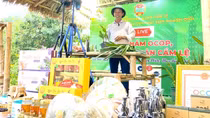 Hàng nghìn sản phẩm OCOP sẽ góp mặt tại VIETNAM OCOPEX 2025