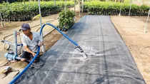 Các tỉnh đồng bằng sông Cửu Long tích cực phòng, chống xâm nhập mặn