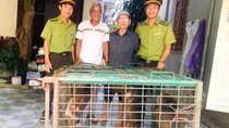 Cứu hộ động vật quý hiếm có tên trong Sách đỏ