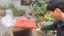 Lén bỏ thuốc trừ cỏ vào bể nước nhà hàng xóm vì mâu thuẫn