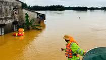 Đi trong lũ dữ