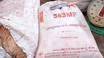 Tên Công ty C.P Việt Nam được in trên bao bì chứa hàng tấn lòng, thịt không rõ nguồn gốc tại Đà Nẵng
