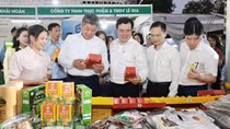 Thương mại điện tử xuyên biên giới - Cơ hội vàng cho doanh nghiệp