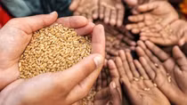 Ngoại giao vì an ninh lương thực đảm bảo sự phát triển