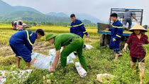 Cảnh sát PCCC & CNCH giúp dân thu hoạch lúa sau mưa lớn