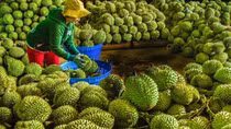 Giả mạo đặc sản địa phương: Nguy cơ mất thương hiệu và lòng tin