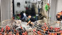 Hà Nội "chốt" xử lý dứt điểm 700 điểm giết mổ gia súc, gia cầm trước tháng 9