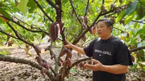 Kiên trì với nông nghiệp hữu cơ để có sản phẩm sạch