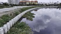 Kỷ luật tổ chức đảng và 3 đảng viên của Ban giao thông liên quan đến sai phạm của Tập đoàn Thuận An