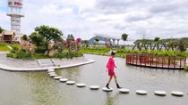 An Hảo Solar Farm - Điểm đến hấp dẫn