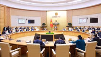 Thúc đẩy hợp tác kinh tế, góp phần thúc đẩy tăng trưởng