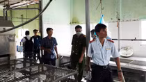 Vụ lùm xùm tại Công ty C.P: Thịt heo bệnh sao phải mổ, xẻ thịt?