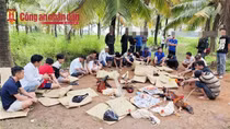 Truy tìm 6 đối tượng liên quan đến vụ đá gà ăn tiền trên 1,6 tỷ đồng