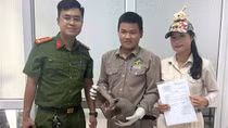 Phát hiện đường dây chuyên cung ứng động vật hoang dã cho nhà hàng