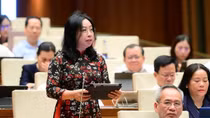 Đại biểu truy trách nhiệm vấn nạn thực phẩm giả, thuốc giả, Bộ trưởng Bộ Y tế nói gì?