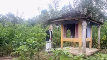 Đầu năm Ất Tỵ nghe kể chuyện dân làng lập miếu thờ thần rắn