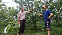 Gặp nông dân biến đất đồi hoang sơ thành trang trại tiền tỷ