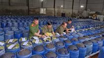 Hàng ngàn tấn giá đỗ “ngậm” hoá chất tuồn ra thị trường, nguy hiểm cho người sử dụng như thế nào?