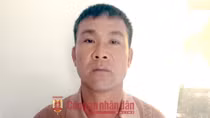 Khởi tố tài xế bán tải chạy ngông nghênh trên bãi biển Tuy Hòa