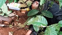 Phát hiện xác nghi can liên quan cái chết của người phụ nữ trong nhà nghỉ