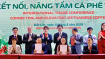 Cà phê Việt Nam trước thách thức quy định phòng chống phá rừng của EU