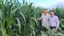 Đổi thay từ chương trình nông thôn mới ở huyện Đồng Xuân