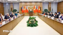 Chủ tịch Quốc hội hội đàm với Chủ tịch Thượng viện Quốc hội Cộng hoà Czech