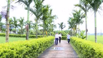 Nông thôn mới làm thay đổi diện mạo nhiều vùng quê xứ Thanh