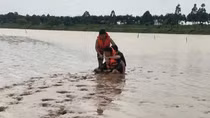 Anh trai lao xuống dòng nước khi thấy em gái nhảy cầu, Cảnh sát kịp thời cứu sống cả hai