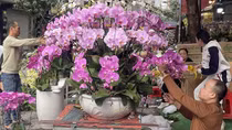 Nghề hốt bạc dịp cận Tết