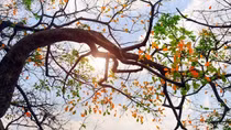 Hà Nội nắng nhẹ, Nam Bộ trời nóng sau mưa to