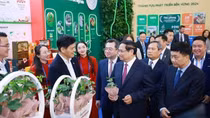 Xanh hóa và số hóa là yêu cầu khách quan, lựa chọn chiến lược, ưu tiên hàng đầu