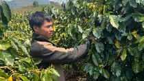 Người nông dân giỏi trên đỉnh Chênh Vênh