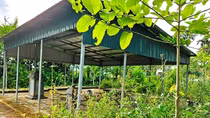 “Cứu” bảo vật Quốc gia