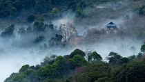 Lạc chốn bồng lai