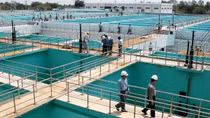 Cảnh giác giả mạo nhân viên cấp nước để lừa đảo
