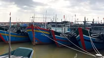 Nhiều tàu cá của ngư dân ở Huế nằm bờ do chưa nhận được kinh phí hỗ trợ nhiên liệu